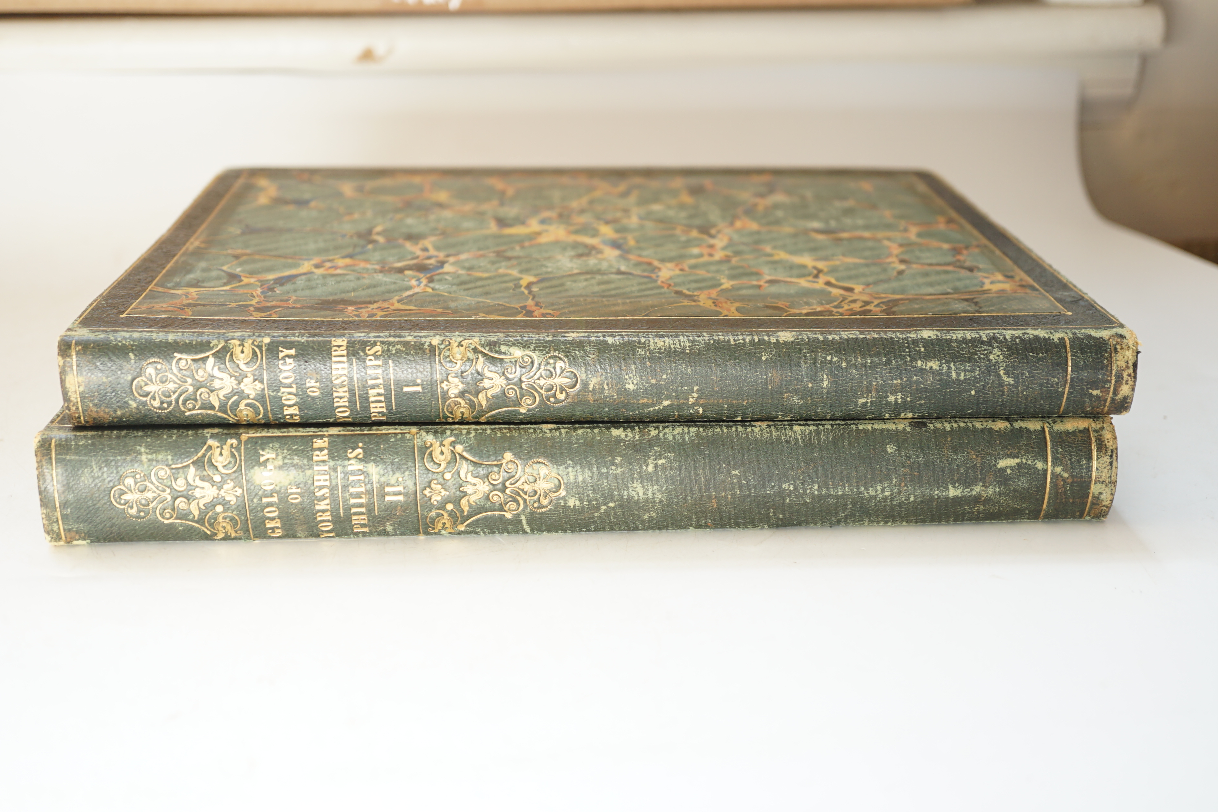 Phillips, John - Illustrations of the The Geology of Yorkshire, 2 vols, 4to, green blindstamped spine and cover borders with marbled boards, with plates and maps, some coloured, York, 1829 and London, 1836